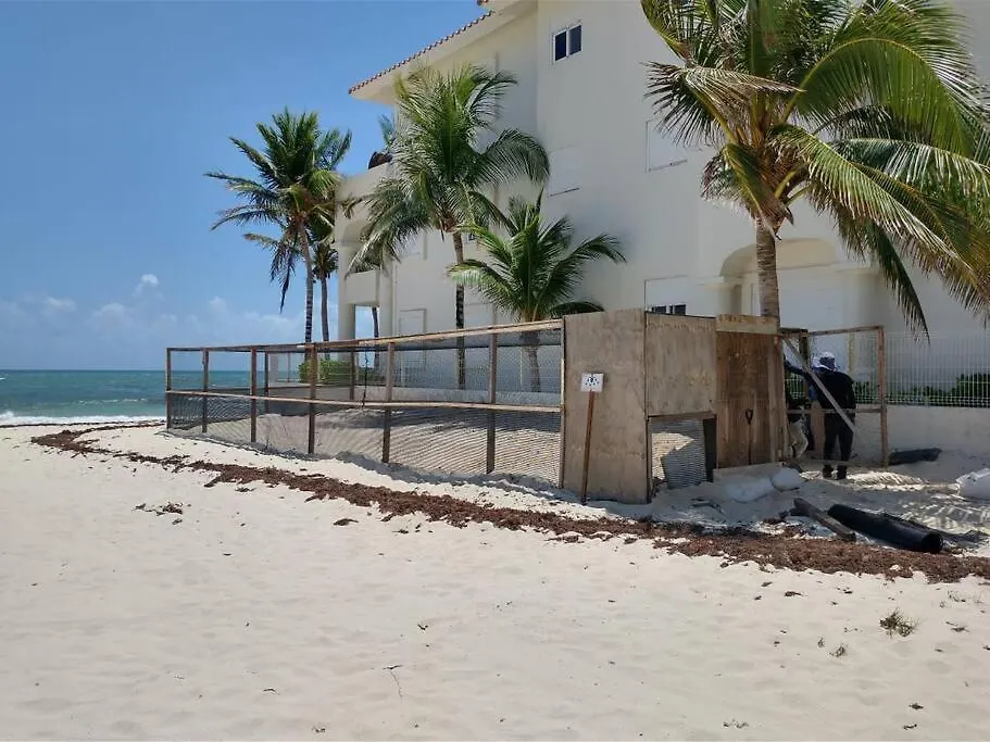 Peaceful & Beautiful 3 Min Walking To The Beach Puerto Morelos Διαμέρισμα